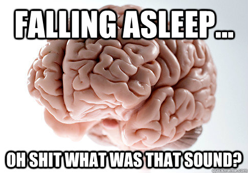 Falling Asleep... OH SHIT WHAT WAS THAT SOUND?  Scumbag Brain