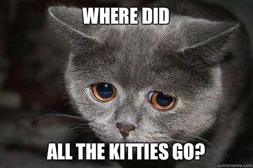 Where did All the kitties go? - Where did All the kitties go?  Sad Kitty