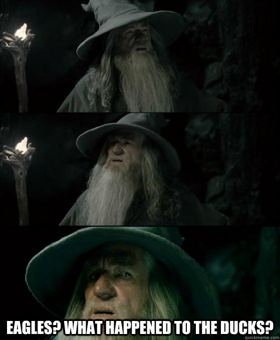  Eagles? What happened to the ducks?  Confused Gandalf