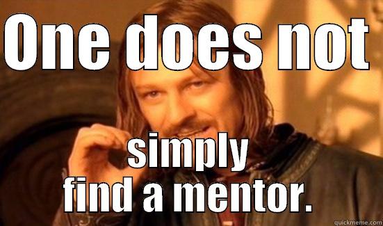 ONE DOES NOT  SIMPLY FIND A MENTOR. Boromir