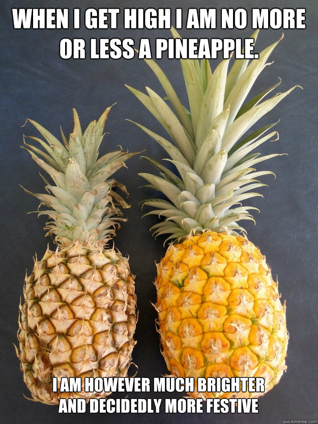 When i get high i am no more or less a pineapple. I am however much brighter and decidedly more festive - When i get high i am no more or less a pineapple. I am however much brighter and decidedly more festive  Two Pineapples in a Pod