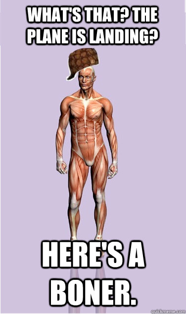 WHAT'S THAT? THE PLANE IS LANDING? HERE'S A BONER. - WHAT'S THAT? THE PLANE IS LANDING? HERE'S A BONER.  Misc