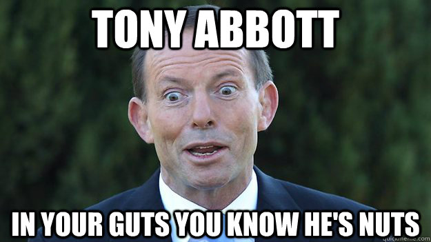 Tony Abbott In your guts you know he's nuts  