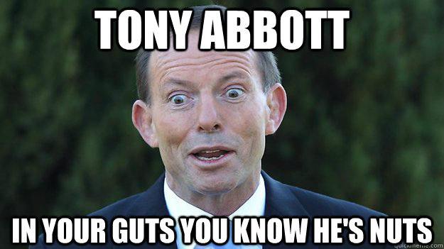 Tony Abbott In your guts you know he's nuts - Tony Abbott In your guts you know he's nuts  Tony Abbott