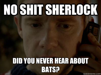 NO shit sherlock did you never hear about bats? - NO shit sherlock did you never hear about bats?  No Shit Sherlock