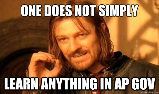 One Does Not Simply learn anything in ap gov - One Does Not Simply learn anything in ap gov  Boromir
