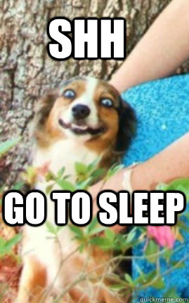 SHH Go to sleep - SHH Go to sleep  Overly Attached Dog
