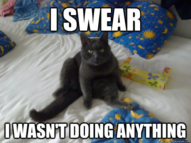 I Swear I wasn't doing anything - I Swear I wasn't doing anything  Fapcat