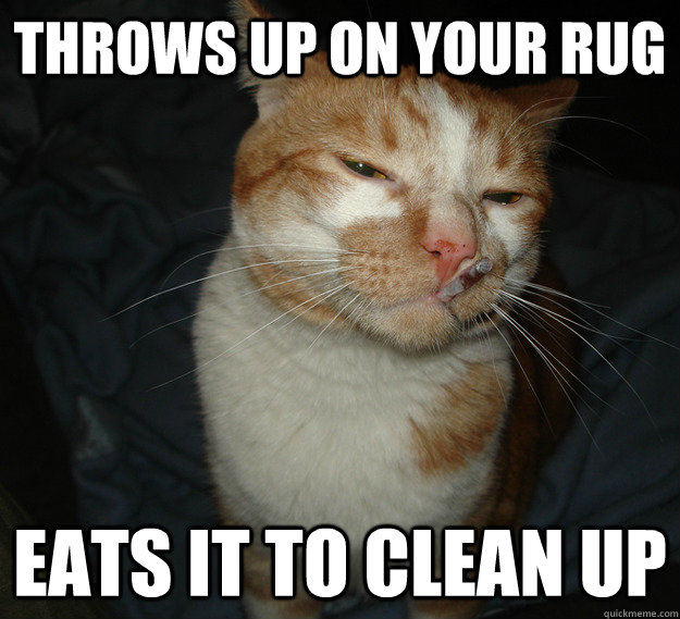 throws up on your rug eats it to clean up  Good Guy Cat