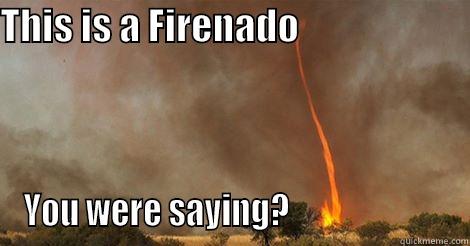 THIS IS A FIRENADO                        YOU WERE SAYING?                        Misc