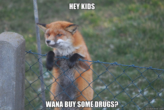 Hey Kids wana buy some drugs? - Hey Kids wana buy some drugs?  sketchy fox