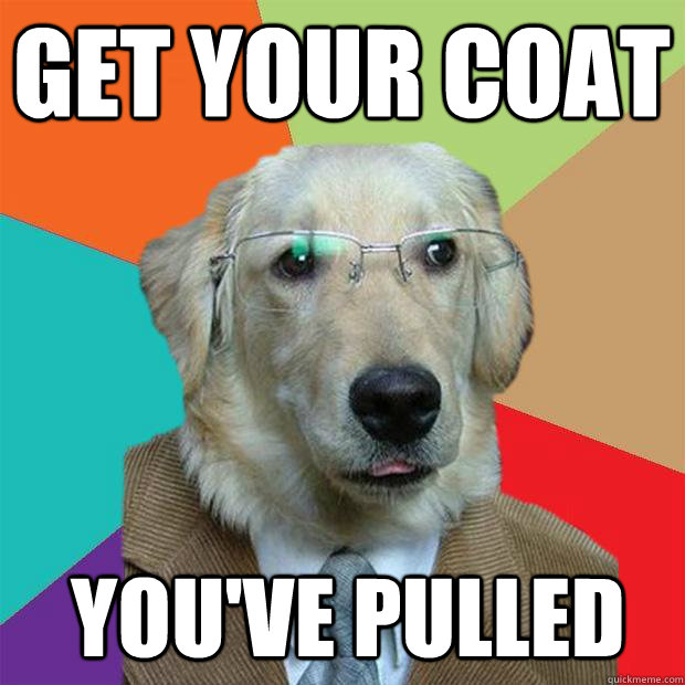 Get your coat You've pulled  Business Dog