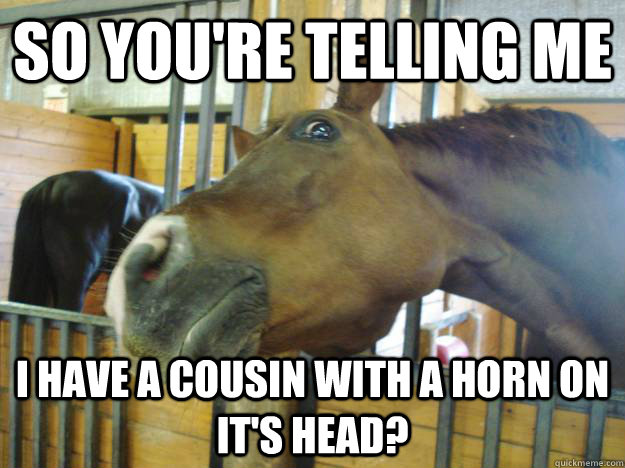 So you're telling me I have a cousin with a horn on it's head? - So you're telling me I have a cousin with a horn on it's head?  Skeptical horse