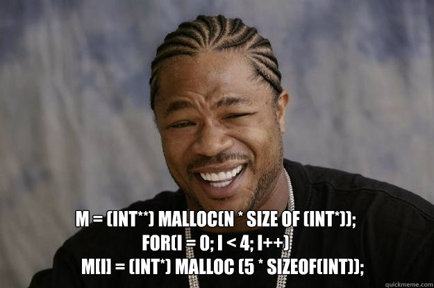  m = (int**) malloc(n * size of (int*));
for(i = 0; i < 4; i++)
    m[i] = (int*) malloc (5 * sizeof(int));
 -  m = (int**) malloc(n * size of (int*));
for(i = 0; i < 4; i++)
    m[i] = (int*) malloc (5 * sizeof(int));
  Xzibit meme