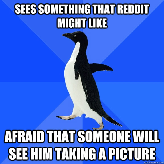 Sees something that Reddit might like Afraid that someone will see him taking a picture  Socially Awkward Penguin
