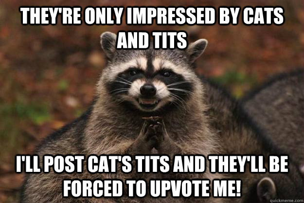 They're only impressed by cats and tits I'll post cat's tits and they'll be forced to upvote me!  Evil Plotting Raccoon
