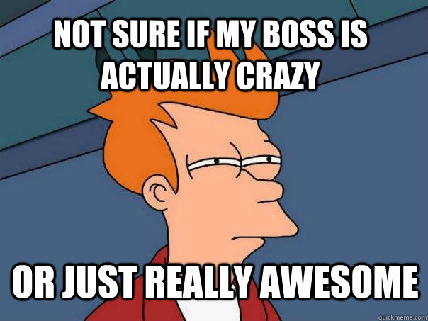 Not sure if my boss is actually Crazy or just really awesome  Futurama Fry