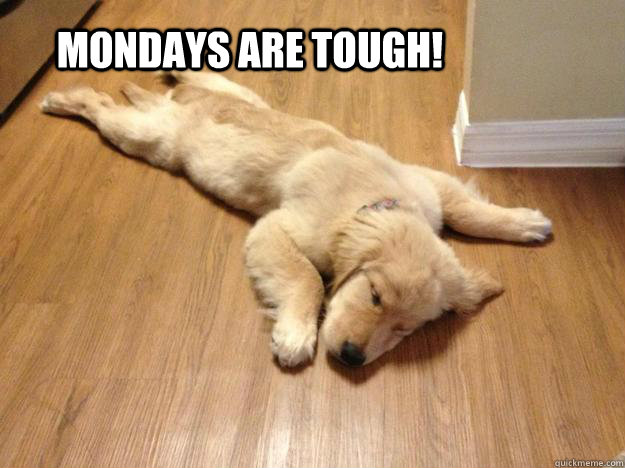 Mondays are tough! - Mondays are tough!  Mondays