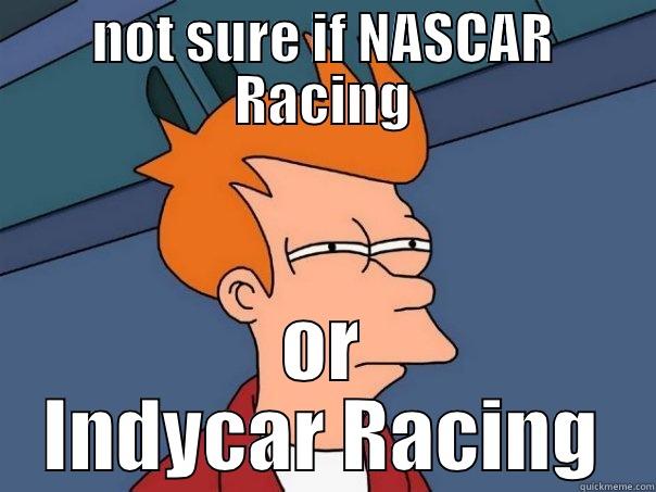 NOT SURE IF NASCAR RACING OR INDYCAR RACING Futurama Fry