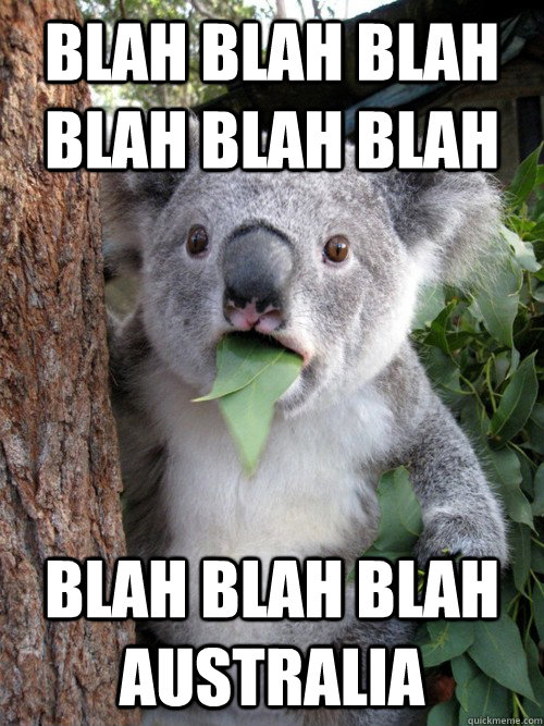 Blah Blah blah blah blah blah Blah Blah blah Australia  koala bear