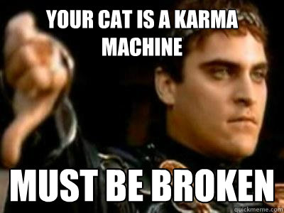 Your Cat is a Karma Machine Must be broken  Downvoting Roman