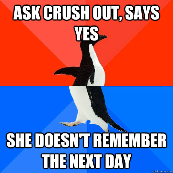 Ask crush out, says yes She doesn't remember the next day  Socially Awesome Awkward Penguin