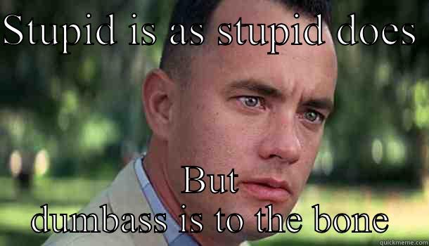 Stupid is as stupid does - STUPID IS AS STUPID DOES  BUT DUMBASS IS TO THE BONE Offensive Forrest Gump