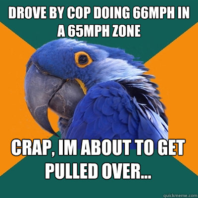 Drove by cop doing 66mph in a 65mph zone crap, im about to get pulled over...  Paranoid Parrot