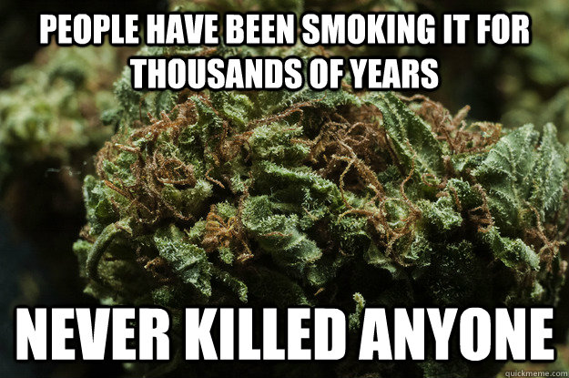 people have been smoking it for thousands of years never killed anyone  Good Guy Weed