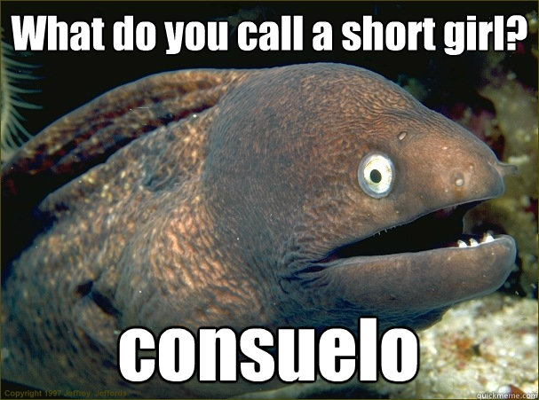 What do you call a short girl?
 consuelo - What do you call a short girl?
 consuelo  Bad Joke Eel
