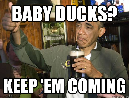 Baby ducks? Keep 'em coming  Upvoting Obama