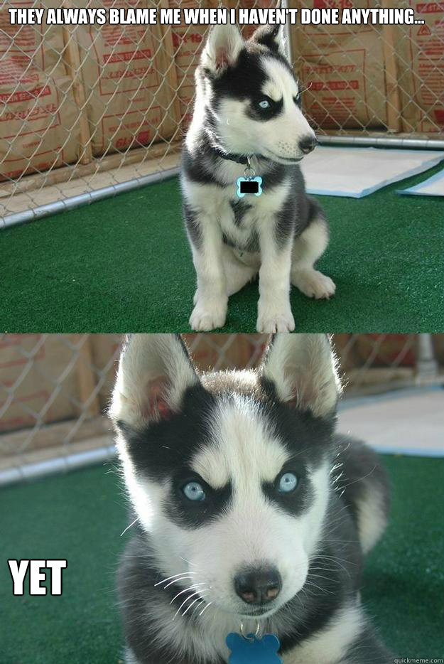 They always blame me when I haven't done anything... Yet  Insanity puppy