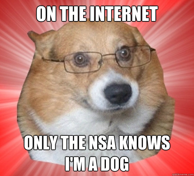 on the internet only the nsa knows       i'm a dog - on the internet only the nsa knows       i'm a dog  Misc