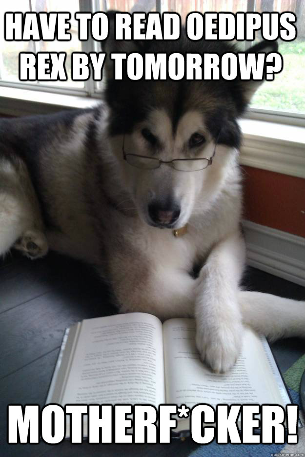 Have to read Oedipus rex by tomorrow? motherf*cker! - Have to read Oedipus rex by tomorrow? motherf*cker!  Condescending Literary Pun Dog