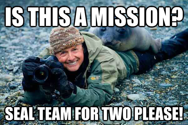 Is This a Mission? Seal Team for Two Please!  