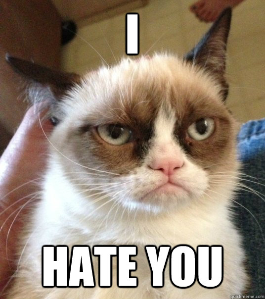 i  hate you - i  hate you  Good Day Grumpy Cat