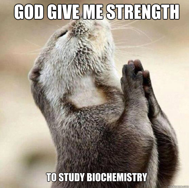 God give me strength to study biochemistry - God give me strength to study biochemistry  Misc