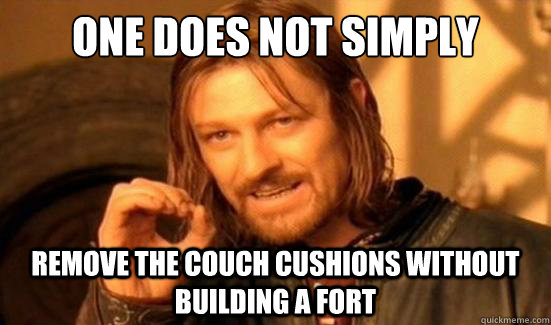 One Does Not Simply remove the couch cushions without building a fort  Boromir