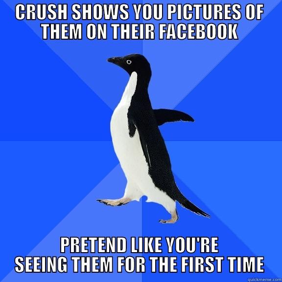 CRUSH SHOWS YOU PICTURES OF THEM ON THEIR FACEBOOK PRETEND LIKE YOU'RE SEEING THEM FOR THE FIRST TIME Socially Awkward Penguin