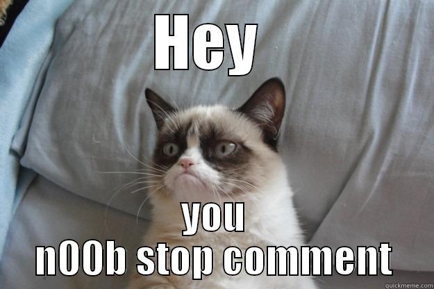 HEY  YOU N00B STOP COMMENT Grumpy Cat