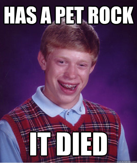 Has a Pet rock it died  Bad Luck Brian