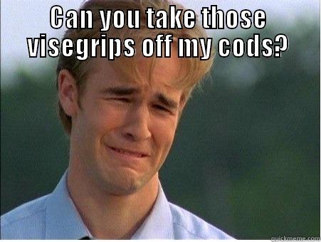 CAN YOU TAKE THOSE VISEGRIPS OFF MY CODS?  1990s Problems