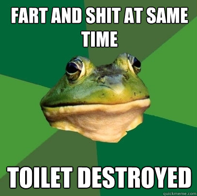 fart and shit at same time toilet destroyed  Foul Bachelor Frog