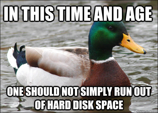 In this time and age one should not simply run out of hard disk space  Actual Advice Mallard