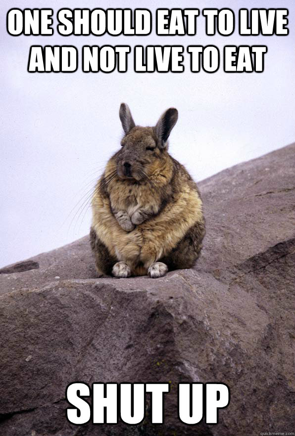 One should eat to live and not live to eat Shut up  Wise Wondering Viscacha