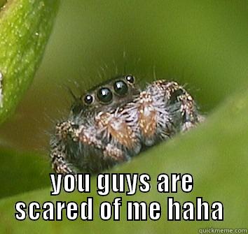 hah u are scared jordan  -  YOU GUYS ARE SCARED OF ME HAHA  Misunderstood Spider