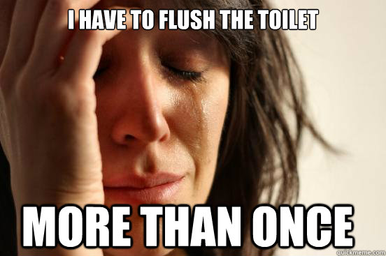 I have to flush the toilet more than once  First World Problems
