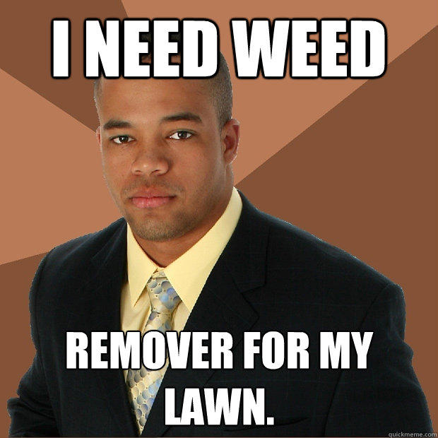 i need weed remover for my lawn. - i need weed remover for my lawn.  Successful Black Man