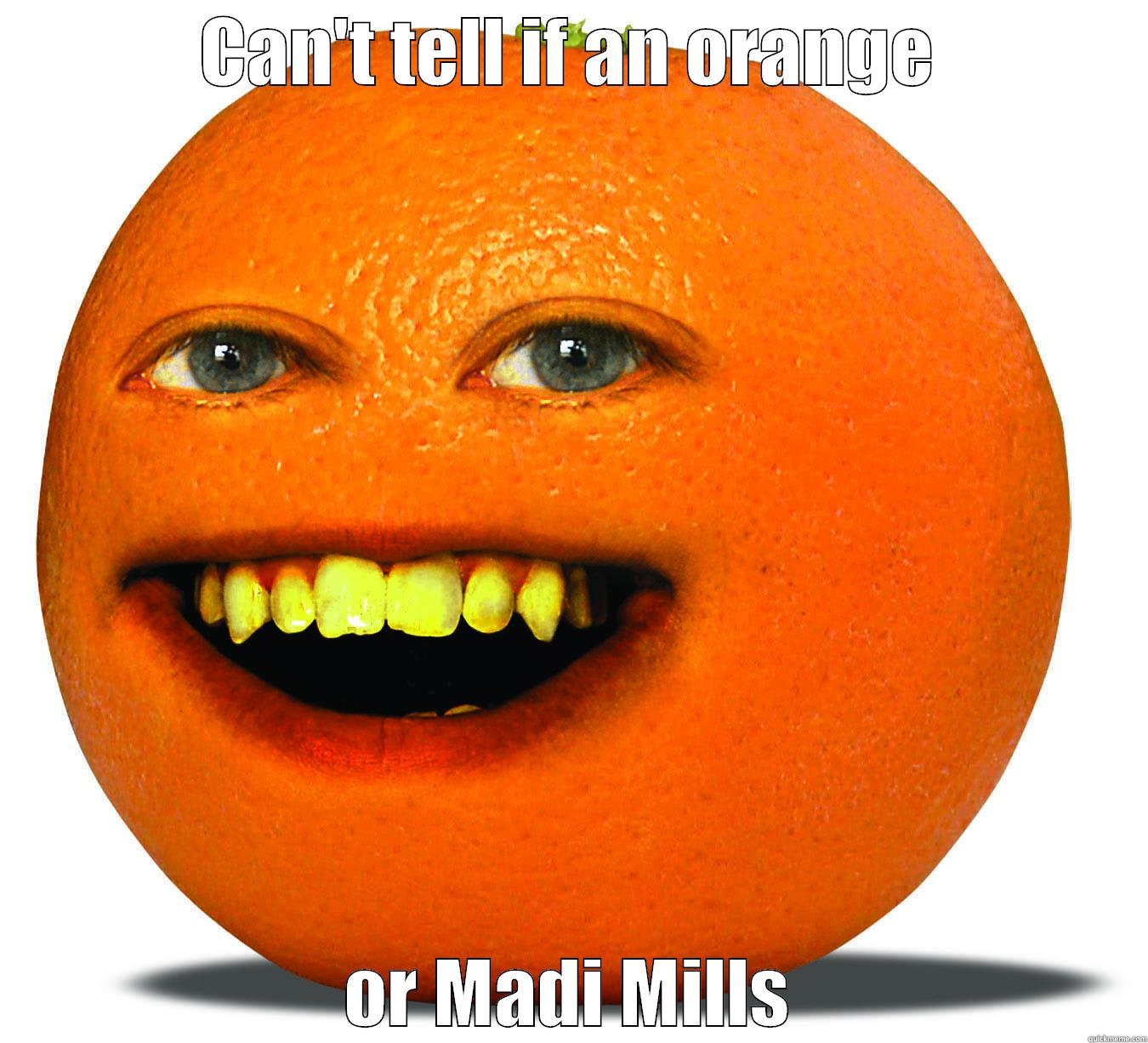 CAN'T TELL IF AN ORANGE OR MADI MILLS Misc