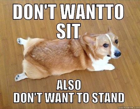 DON'T WANTTO SIT ALSO DON'T WANT TO STAND Misc
